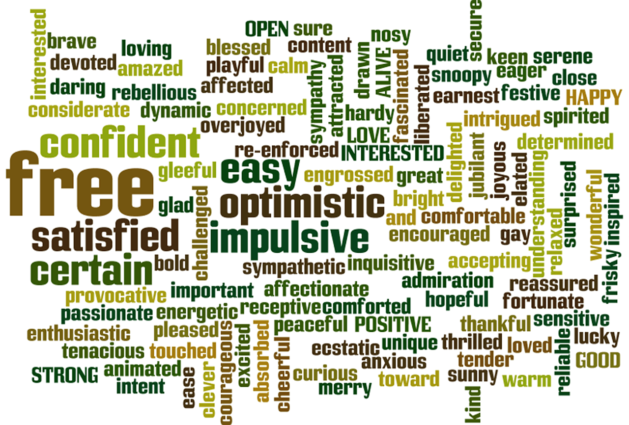 Using a Word Cloud Generator to Analyze Customer Feedback