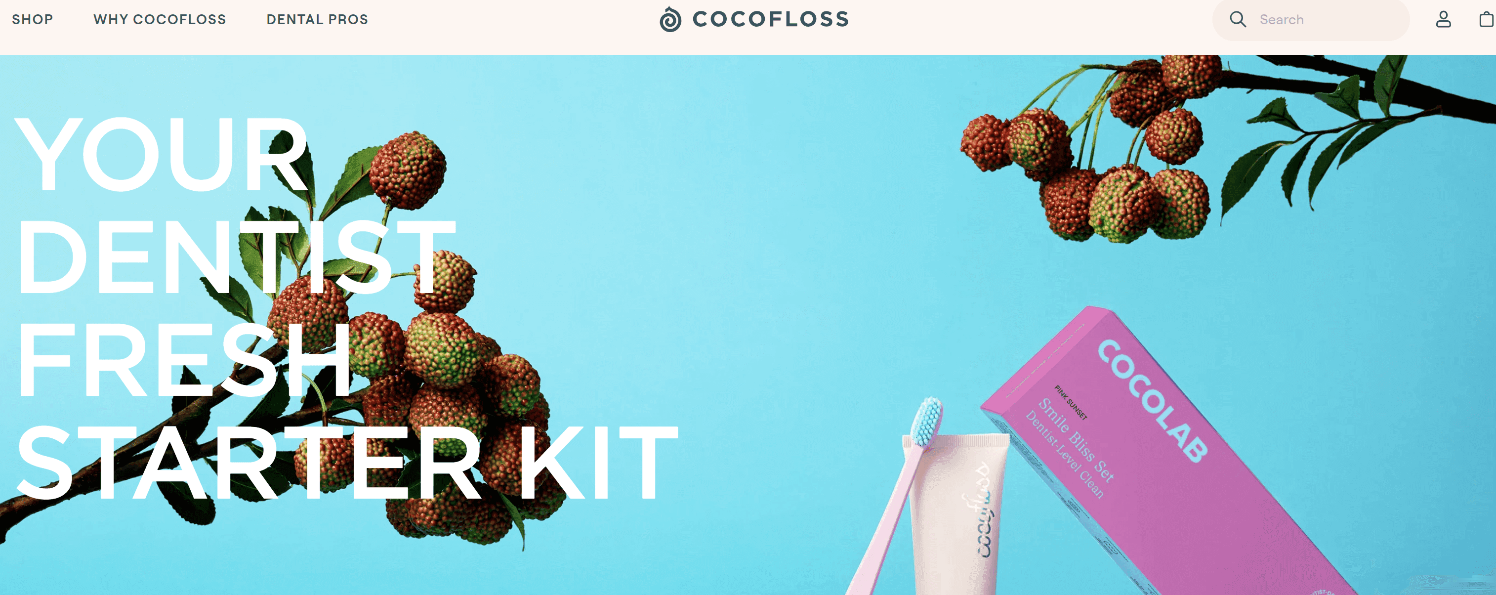 50+ Best Shopify Stores: Subscription,Jewelry,Food,Wellness,Others